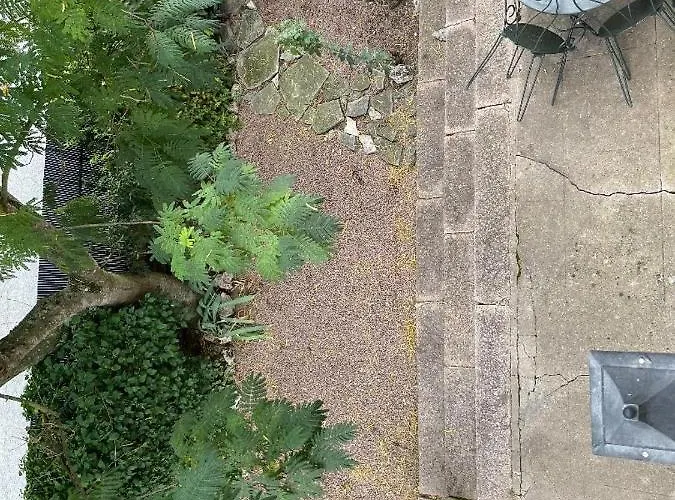 Maison De Campagne